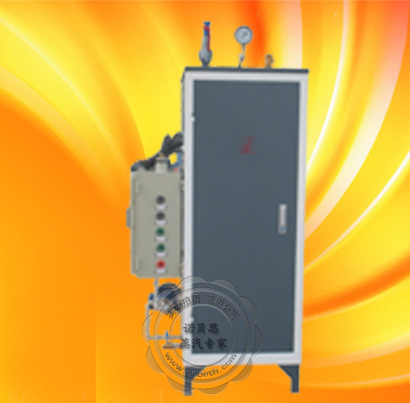 蒸汽發(fā)生器24KW