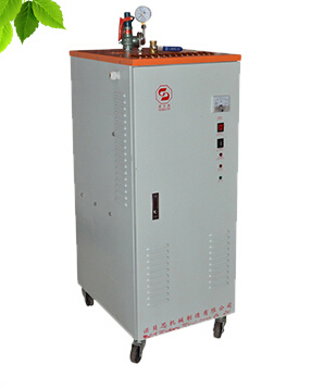 24KW化工反應(yīng)行業(yè)配套專用蒸汽發(fā)生器