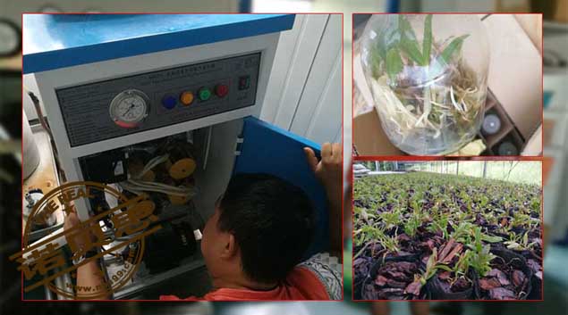 滅菌用高壓蒸汽發(fā)生器