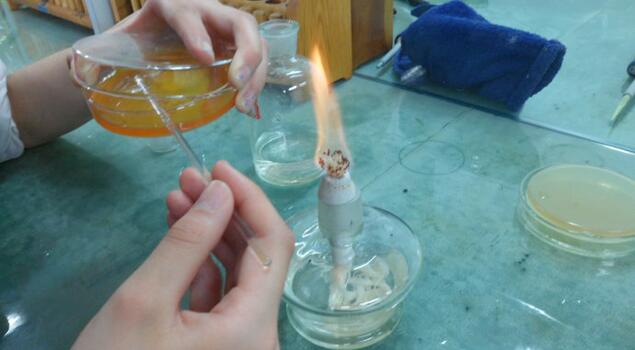 蒸汽發(fā)生器加溫加濕