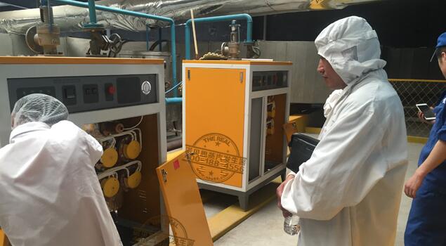 食品加工蒸汽發(fā)生器