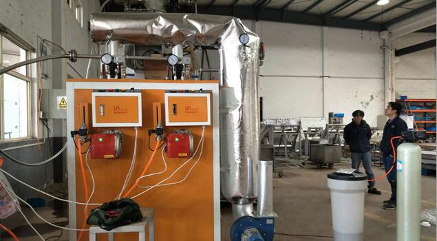 天然氣蒸汽鍋爐