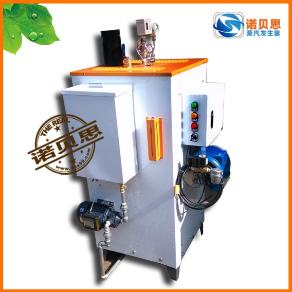 廠家直銷節(jié)能燃油燃?xì)庹羝仩t30kg/h燃?xì)庹羝仩t