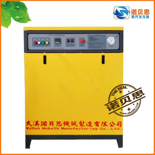 全自動蒸汽發(fā)生器/醫(yī)療制藥專用蒸汽發(fā)生器