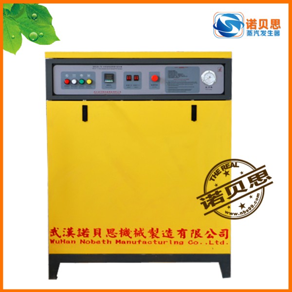 電熱鍋爐 電蒸汽發(fā)生器  全自動(dòng)蒸汽發(fā)生器，路橋養(yǎng)護(hù)增氧機(jī)