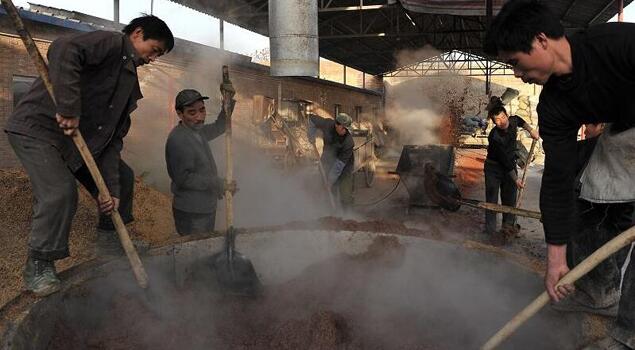 諾貝思蒸汽發(fā)生器