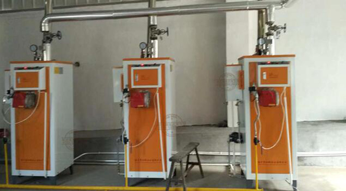 飼料加工用蒸汽發(fā)生器