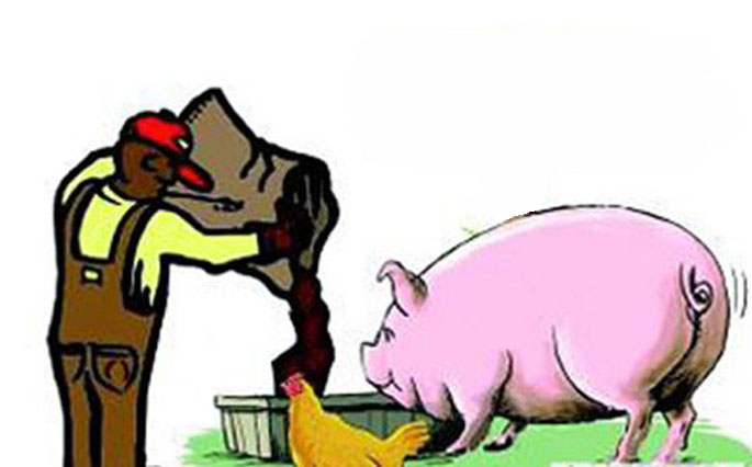 動(dòng)物藥業(yè)