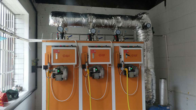 燃油燃?xì)庹羝l(fā)生器