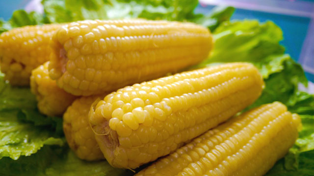 食品加工蒸汽發(fā)生器