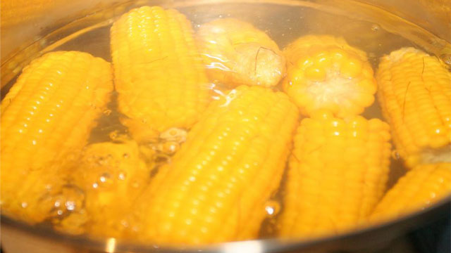 食品加工蒸汽發(fā)生器