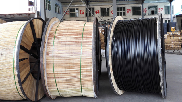 蒸電纜專用蒸汽發(fā)生器