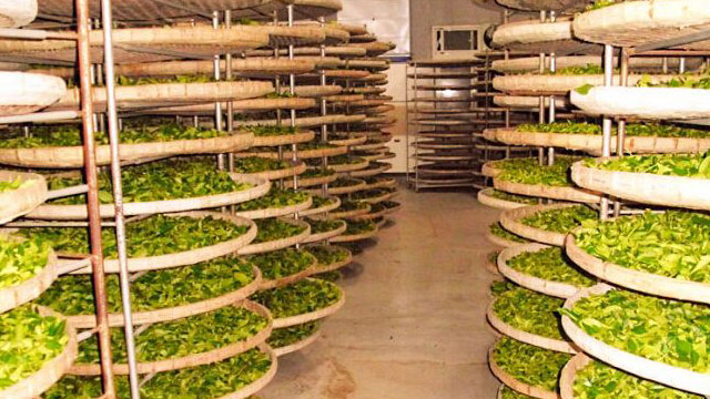 茶葉烘干蒸汽發(fā)生器