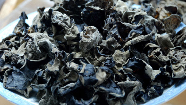 電蒸汽發(fā)生器